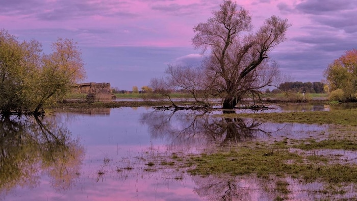 सांकेतिक तस्वीर