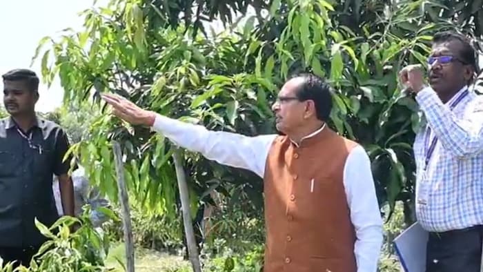 Shivraj Singh Chauhan cultivated dragon fruit