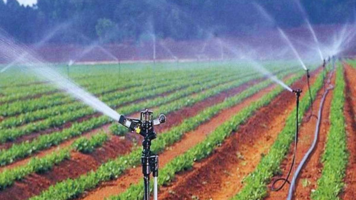 गर्मी में खेतों की देखभाल जरूरी