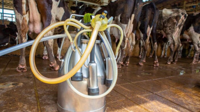 डेयरी फार्मिंग में आने वाली मशीनें