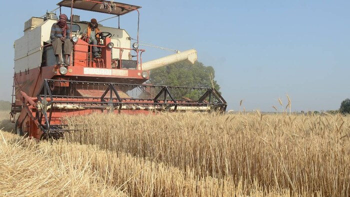 wheat harvesting machine