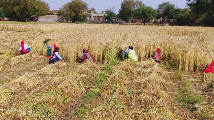 कृषि विभाग का प्रयोग