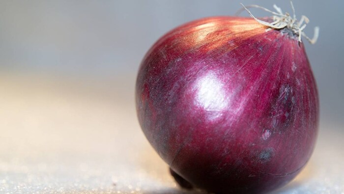 महाराष्ट्र के किसानों ने मिडिल ईस्ट निर्यात किया प्याज