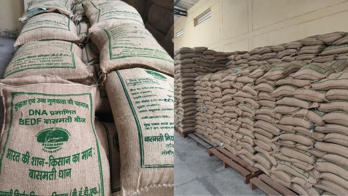 किसानों को किए जाएंगे बासमती धान के बीज वितरित