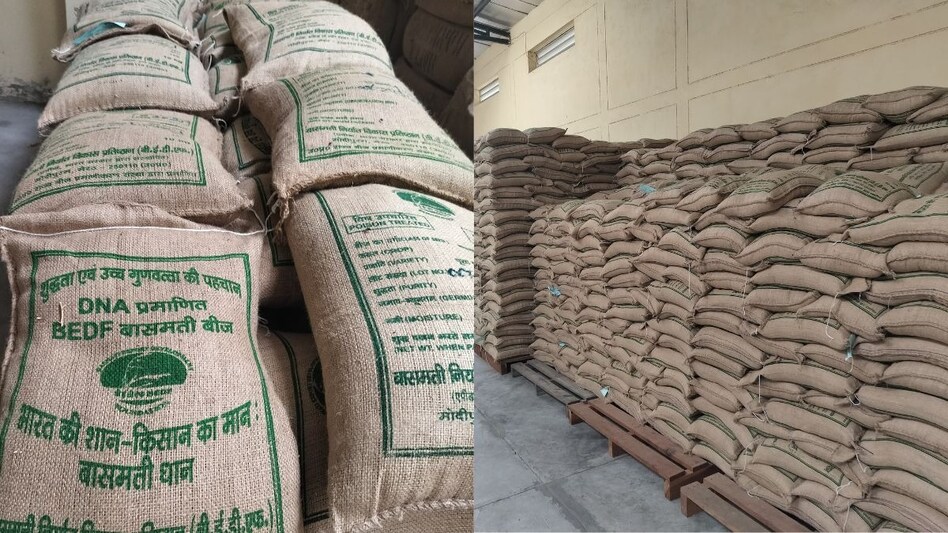 कहां और कब मिलेगा बासमती धान का बीज, कितना होगा दाम...जानिए सबकुछ कहां और कब मिलेगा बासमती धान का बीज, कितना होगा दाम...जानिए सबकुछ