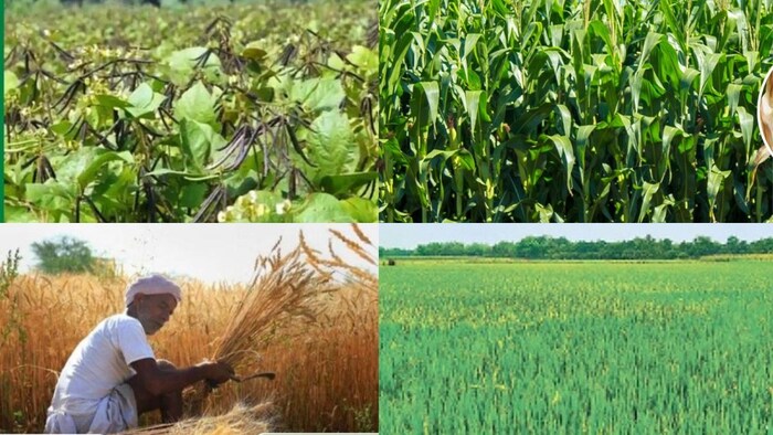 अप्रैल महीने में करने वाले कृषि के काम