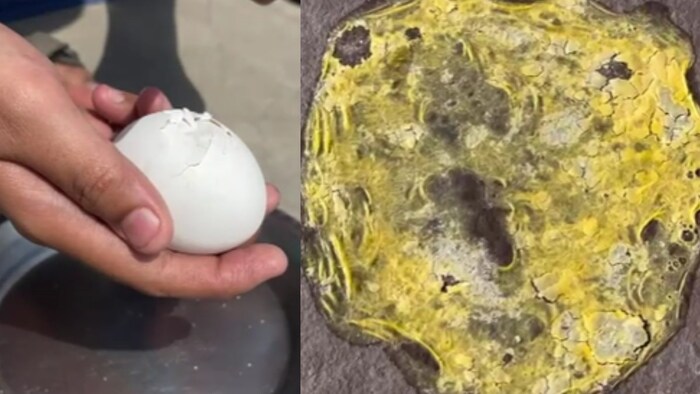 धूप में बन रहा आमलेट