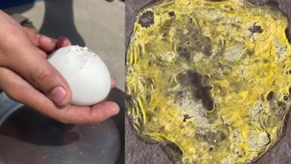 44 डिग्री की धूप में फर्श पर पक रहा आमलेट, लोगों ने सूरज को ही बना दिया रसोई 44 डिग्री की धूप में फर्श पर पक रहा आमलेट, लोगों ने सूरज को ही बना दिया रसोई