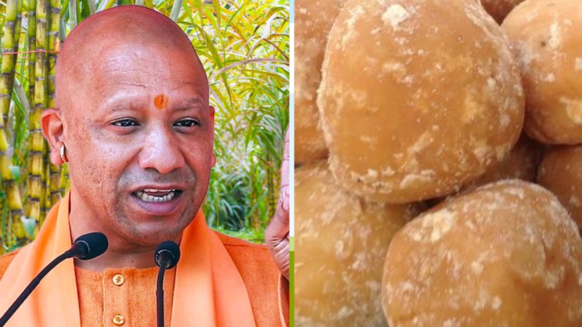 UP में गन्ना और चीनी उद्योग के लिए प्लान तैयार, जानिए 2028 तक कितना बढ़ेगा गुड़ का उत्पादन UP में गन्ना और चीनी उद्योग के लिए प्लान तैयार, जानिए 2028 तक कितना बढ़ेगा गुड़ का उत्पादन