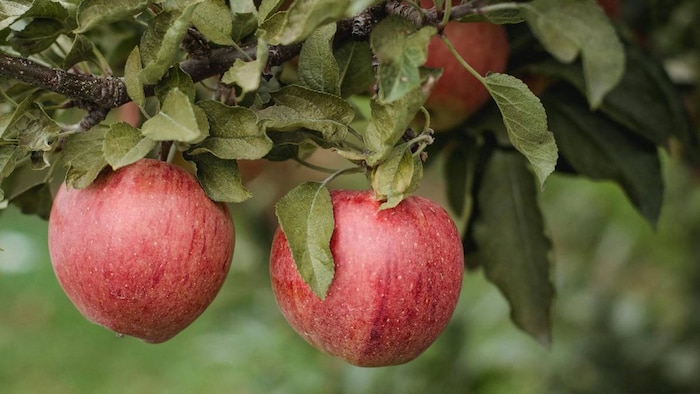 प्रतीकात्मक तस्वीर
