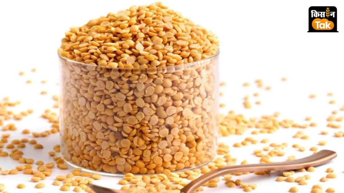 राष्ट्रीय स्तर पर 1 किलो अरहर दाल का थोक भाव 96 रुपये के करीब है.