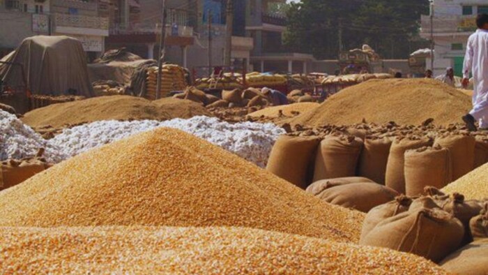 गेहूं की आवक तेज मगर खरीद धीमी