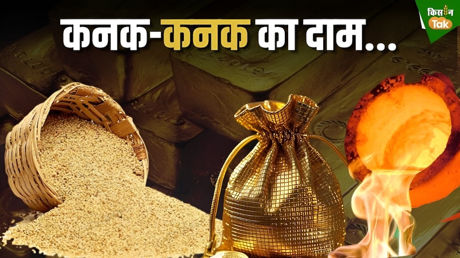 कनक-कनक ते सौ गुनी, दाम विकट बौराय! गेहूं रेंगत रह गया, सोना बुलेट सो सन्नाय... कनक-कनक ते सौ गुनी, दाम विकट बौराय! गेहूं रेंगत रह गया, सोना बुलेट सो सन्नाय...