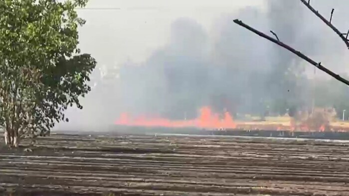 ferozpur farm fire girl death