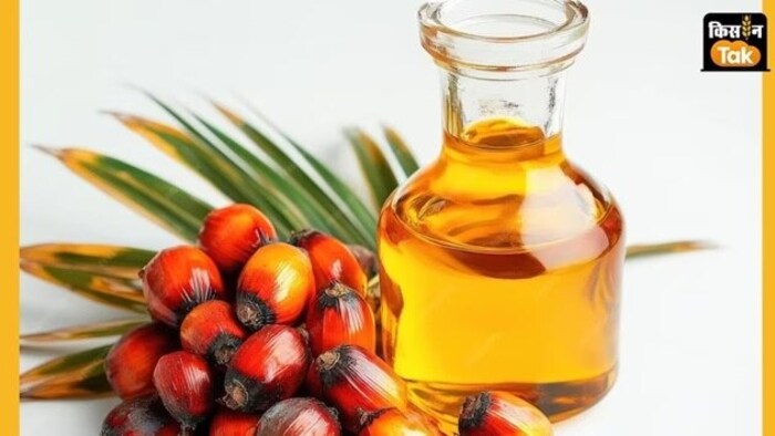 SEA On palm oil import duty
