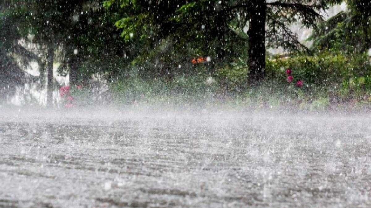 बिहार और यूपी में बारिश की संभावना