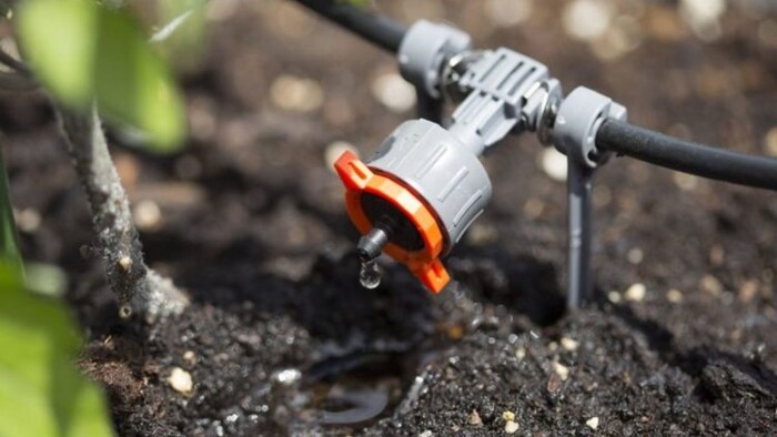 ड्रिप सिंचाई तकनीक