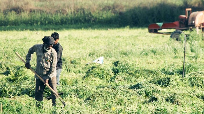 किसानों को अभी तक नहीं मिला है मुआवजा