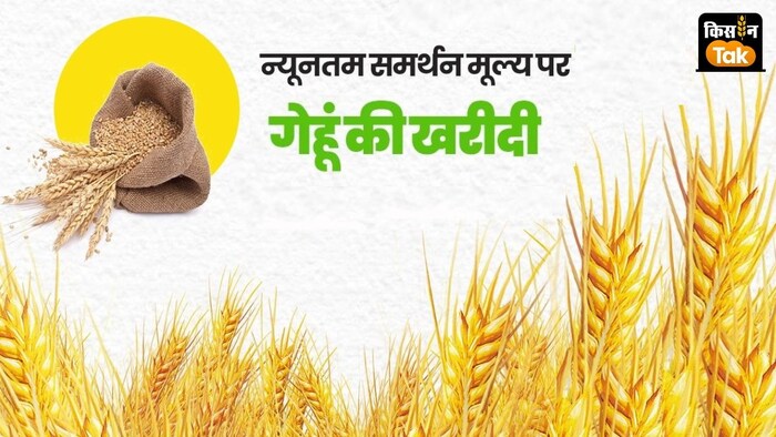 किसानों को गेहूं का बढ़ा हुआ MSP मिलेगा.
