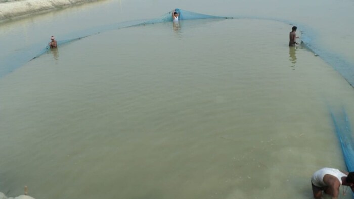 मछली पालक बरतें सावधानी