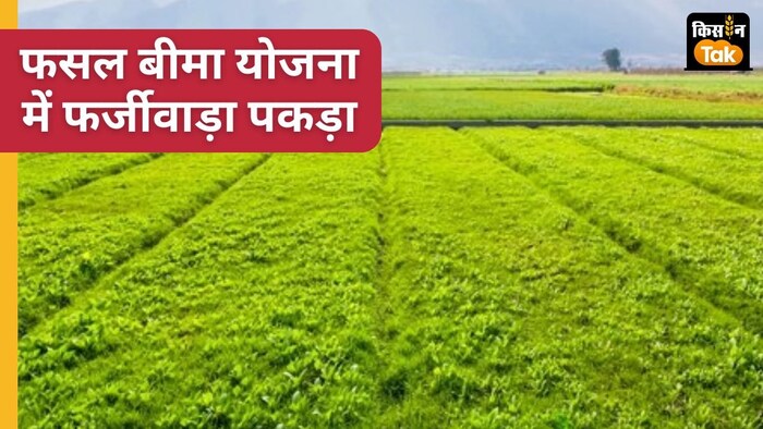 राज्य सरकार ने फर्जी 4 लाख से अधिक फसल बीमा आवेदनों को रद्द किया है.