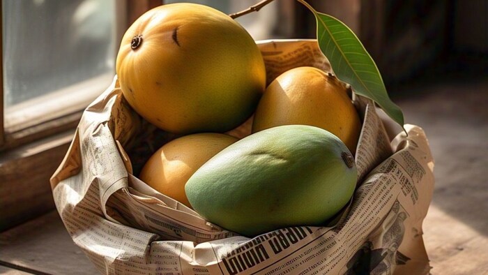 Natural way to ripen mangoes at home