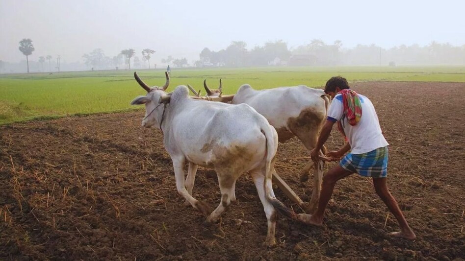 बिहार सरकार और IFPRI के बीच समझौता, ग्रामीण अर्थव्यवस्था और कृषि को मिलेगी मजबूती बिहार सरकार और IFPRI के बीच समझौता, ग्रामीण अर्थव्यवस्था और कृषि को मिलेगी मजबूती