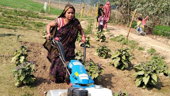 प्रत्येक सखी को रु.15 प्रति नमूना की दर से मानदेय दिया जाएगा