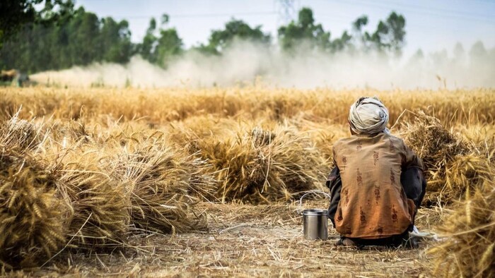 हरियाणा की सैनी सरकार का बड़ा फैसला (प्रतीकात्मक तस्वीर)
