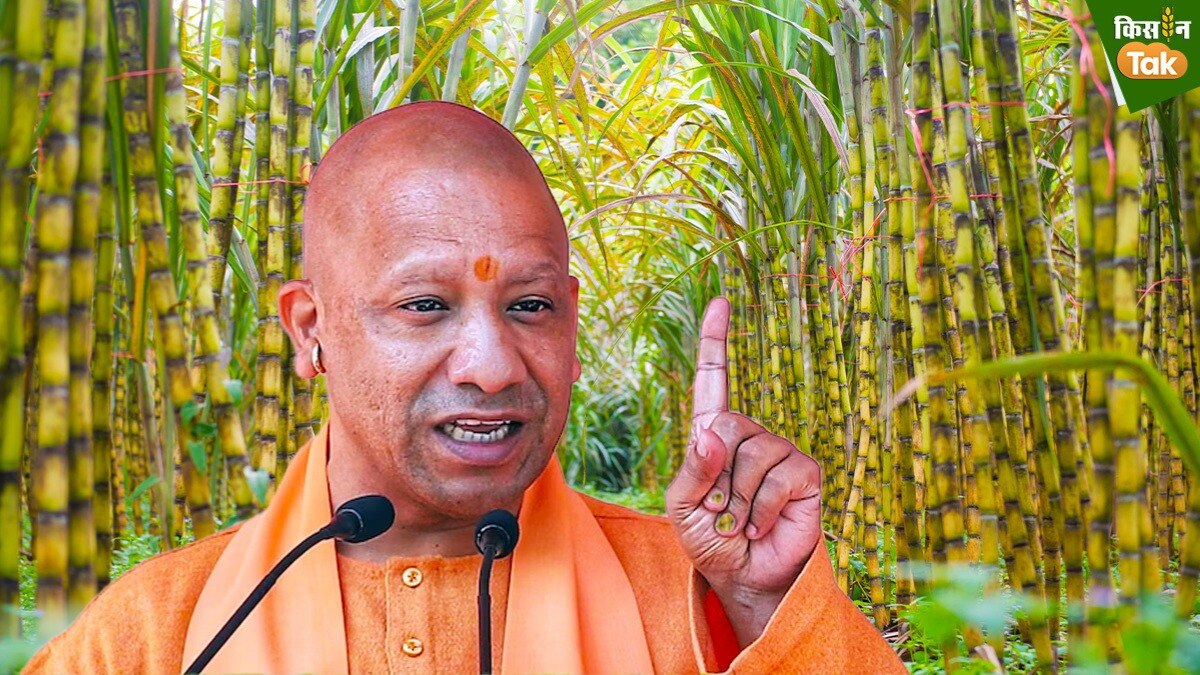मुख्यमंत्री योगी आदित्यनाथ -फोटो: किसान तक