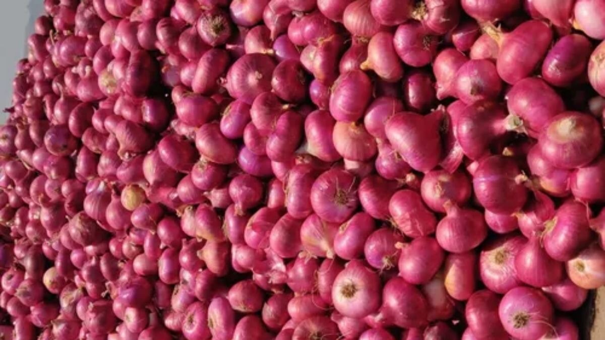 प्याज का मंडी भाव