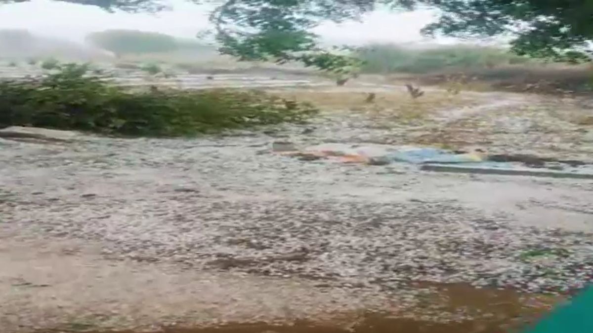 hailstorm in beed maharashtra