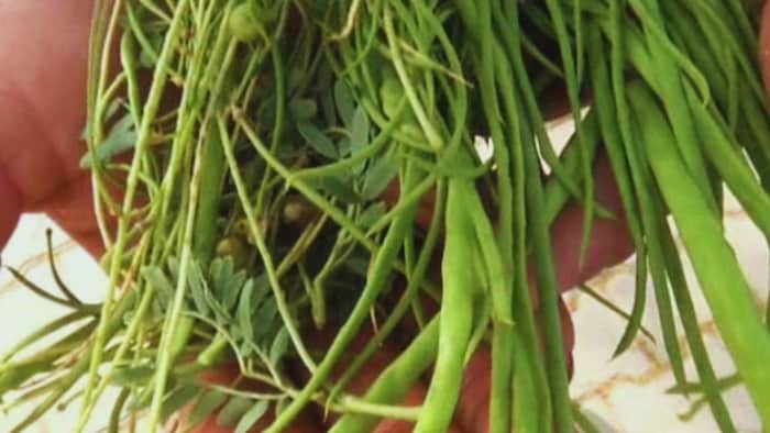 बिना खाद-पानी के उगती है ये सब्जी