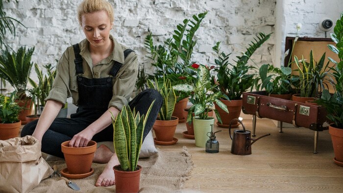 Common gardening mistakes to avoid