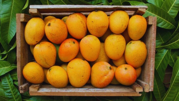 mango price