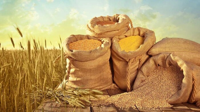 अनाज उत्पादन