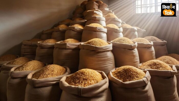 foodgrain stock