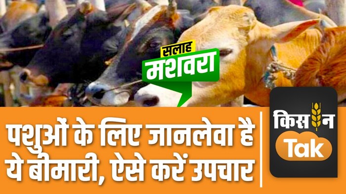 खुरपका मुंहपका बीमारी