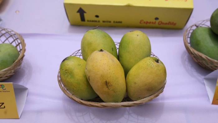 zardalu mango
