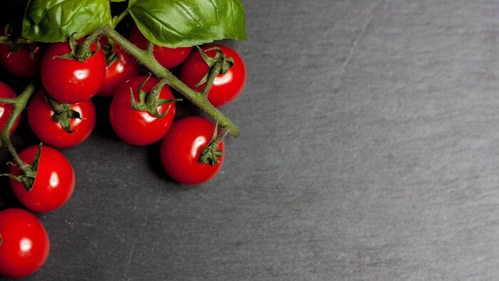 चेरी टमाटर का रखें खास ख्याल