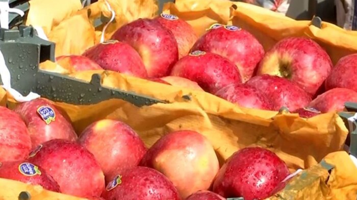 Turkey Apple boycott