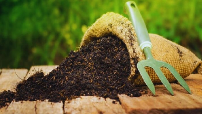 जैविक खाद