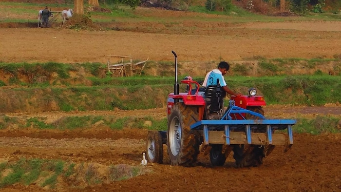 ग्रीष्मकालीन जुताई