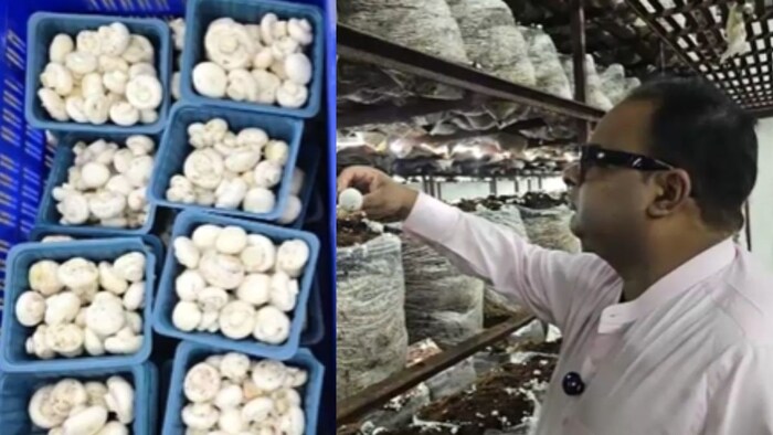 आनंद राय जौनपुर