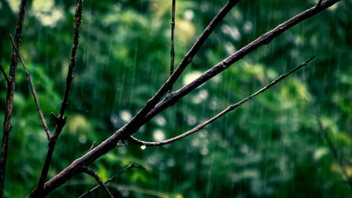 देश में मॉनसून का बेसब्री से इंतजार