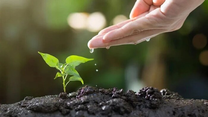 प्राकृतिक खेती