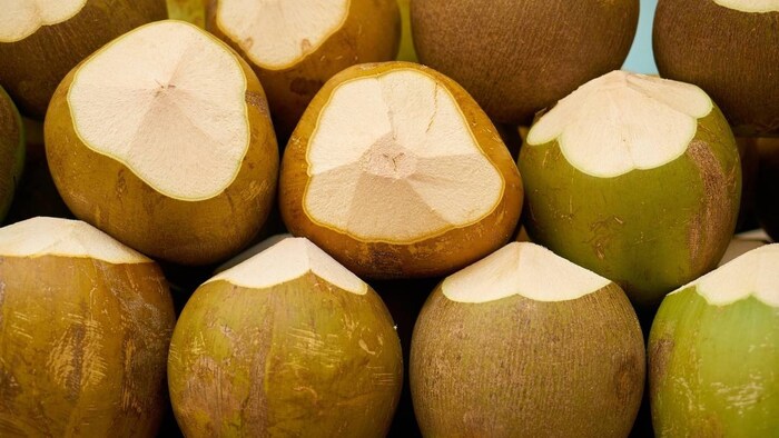 तापमान बढ़ने के साथ ही बढे नारियल के भी भाव