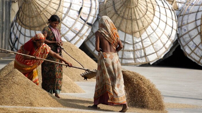 ओडिशा में धान की खरीद से बढ़ी मुश्किलें