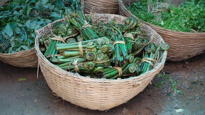 यह सब्जी कई तरह की बीमारियों के इलाज में कारगर है