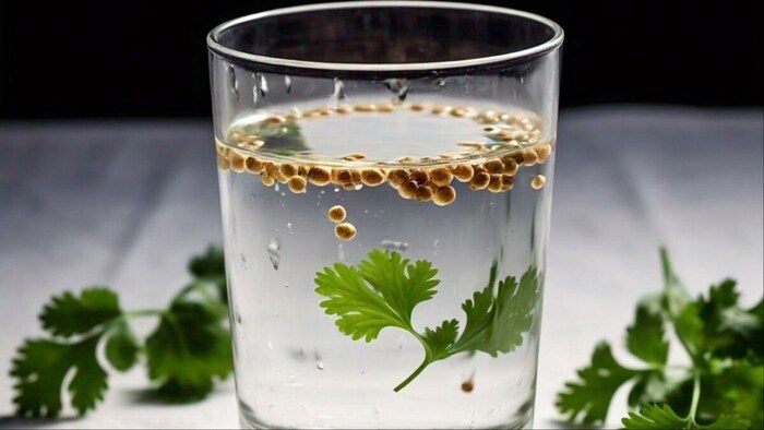 coriander seeds water